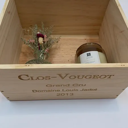 Le Saint Fiacre - Homillesime Lejlighed Dijon