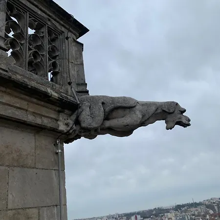 Le Saint Fiacre - Homillesime