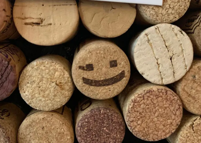 Apartament Le Saint Fiacre - Homillesime