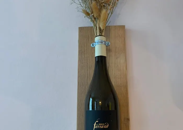 Le Saint Fiacre - Homillesime